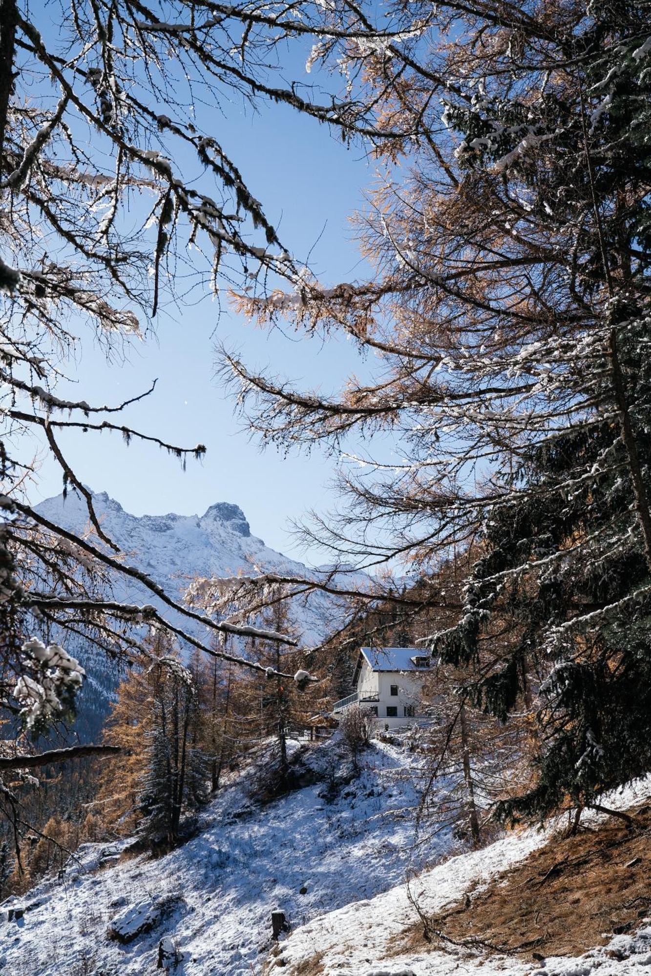 Waldhotel Fletschhorn Panoramic Retreat In Saas Fee Exterior photo